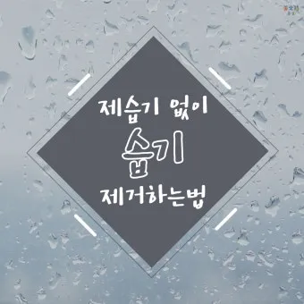 제습기 없이 습기 제거 끝 숯 염화칼슘 등 천연 제습제 활용법 완벽 가이드_12