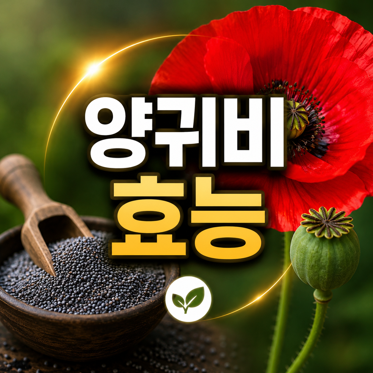 양귀비 효능