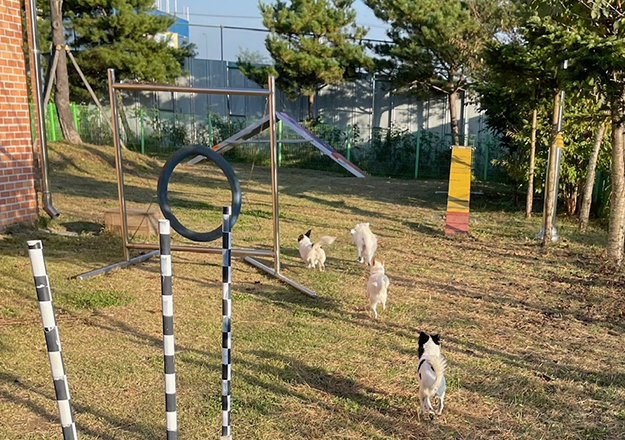 반려마루 화성센터