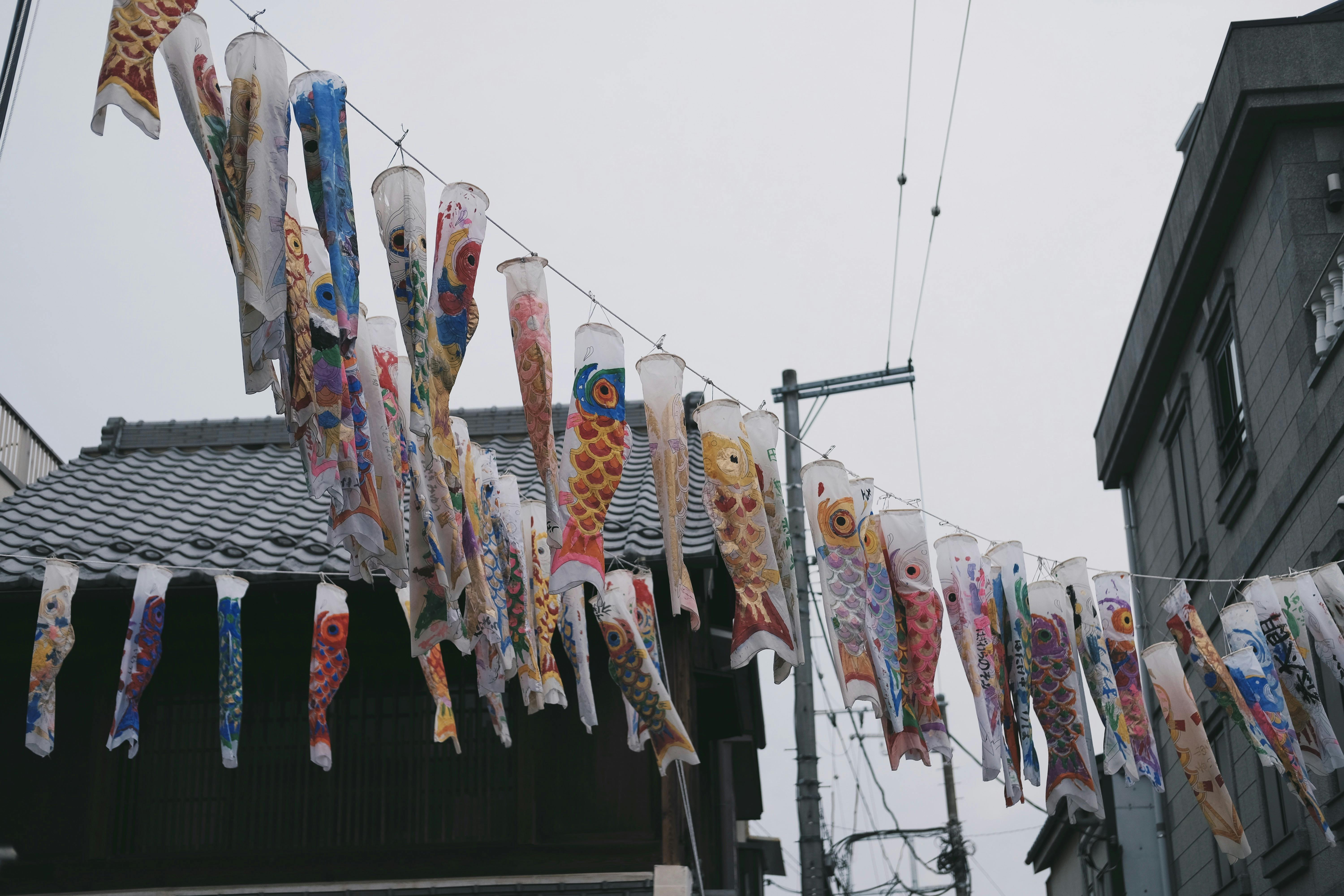일본 축제 사진