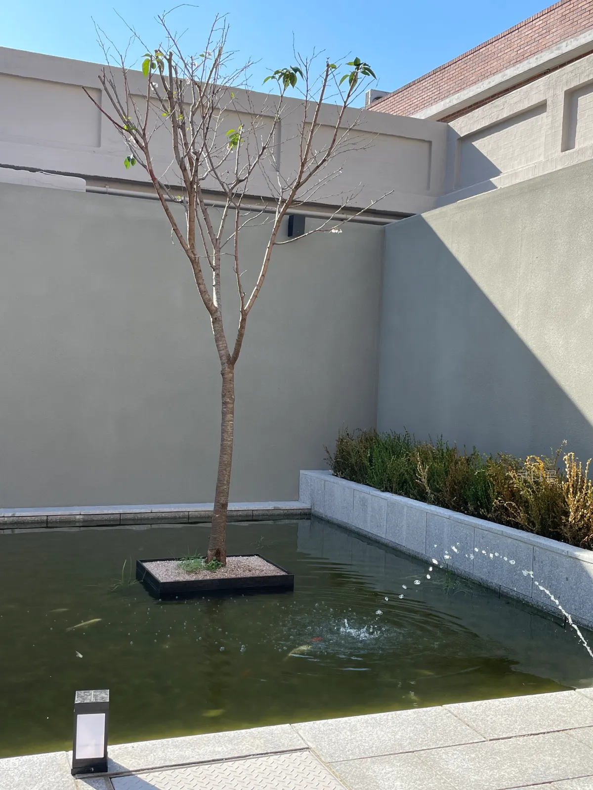 신라제면-안국-주말-웨이팅-테이블링-대기-꿀팁,-칼낙지,-감자전,-비빔밥-후기