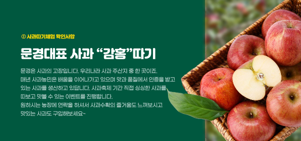 문경사과축제 감홍사과 2025년 일정 총정리
