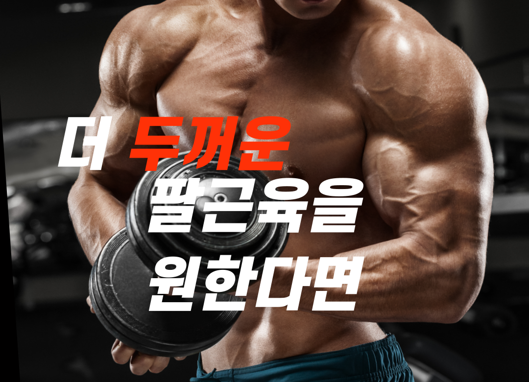 팔근육