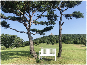 화랑의언덕