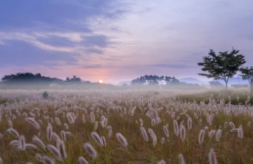 기후 변화와 단풍 시즌의 연관성