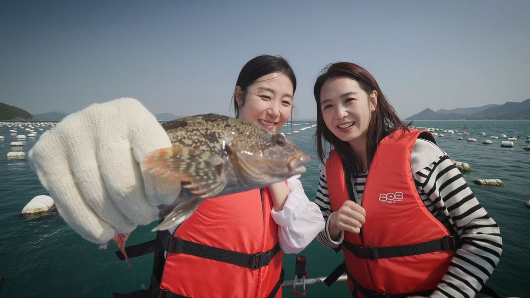 이지애 아나운서