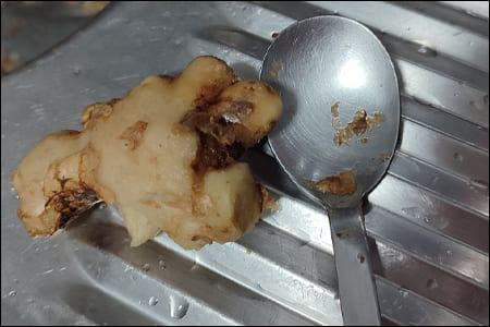 숟가락으로 생강 껍질 벗기기