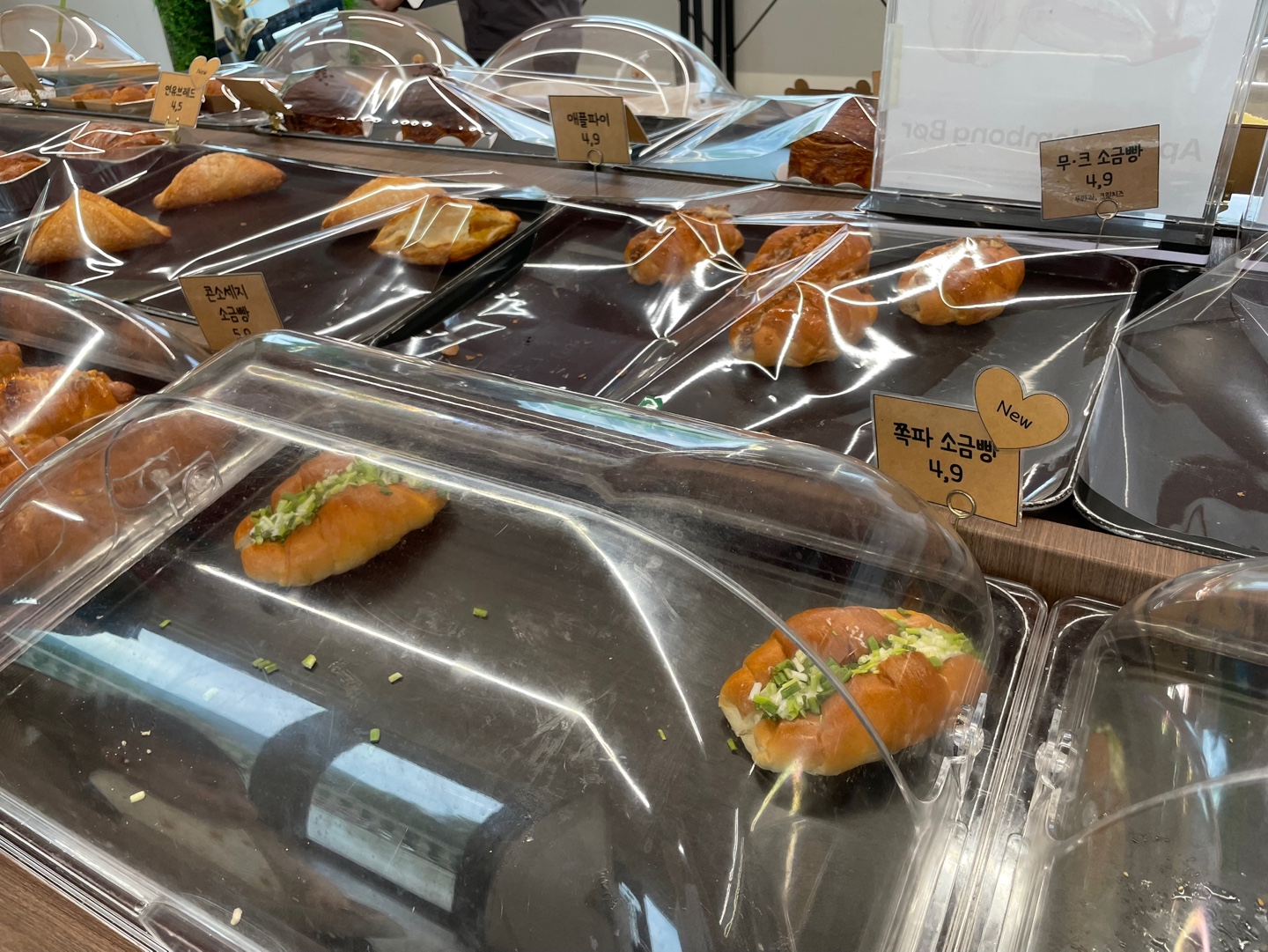 용인 식물원 베이커리 카페 어반리프