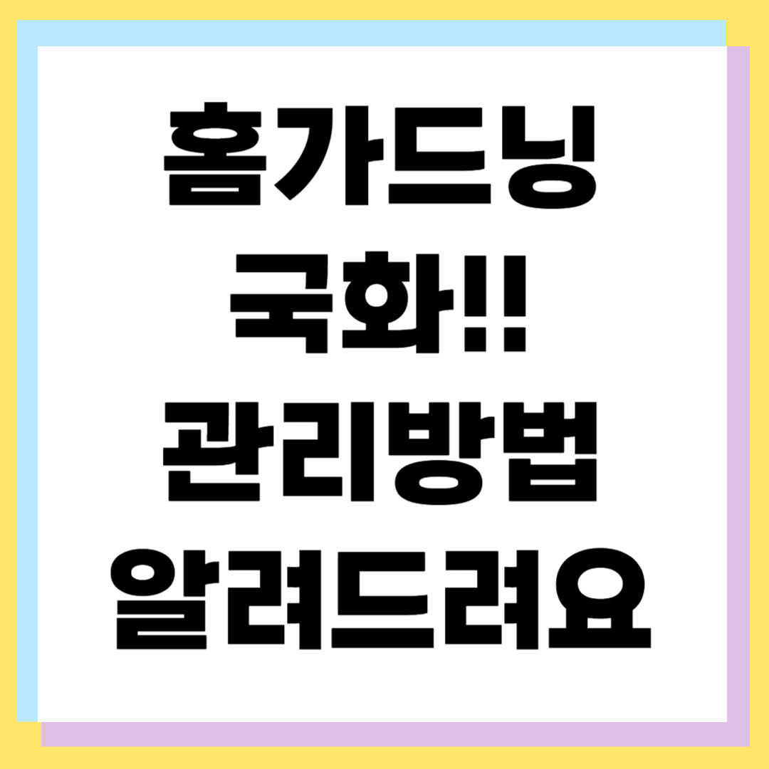 귀성길 팁 총정리: 추석 명절 안전하고 편안한 귀성 준비