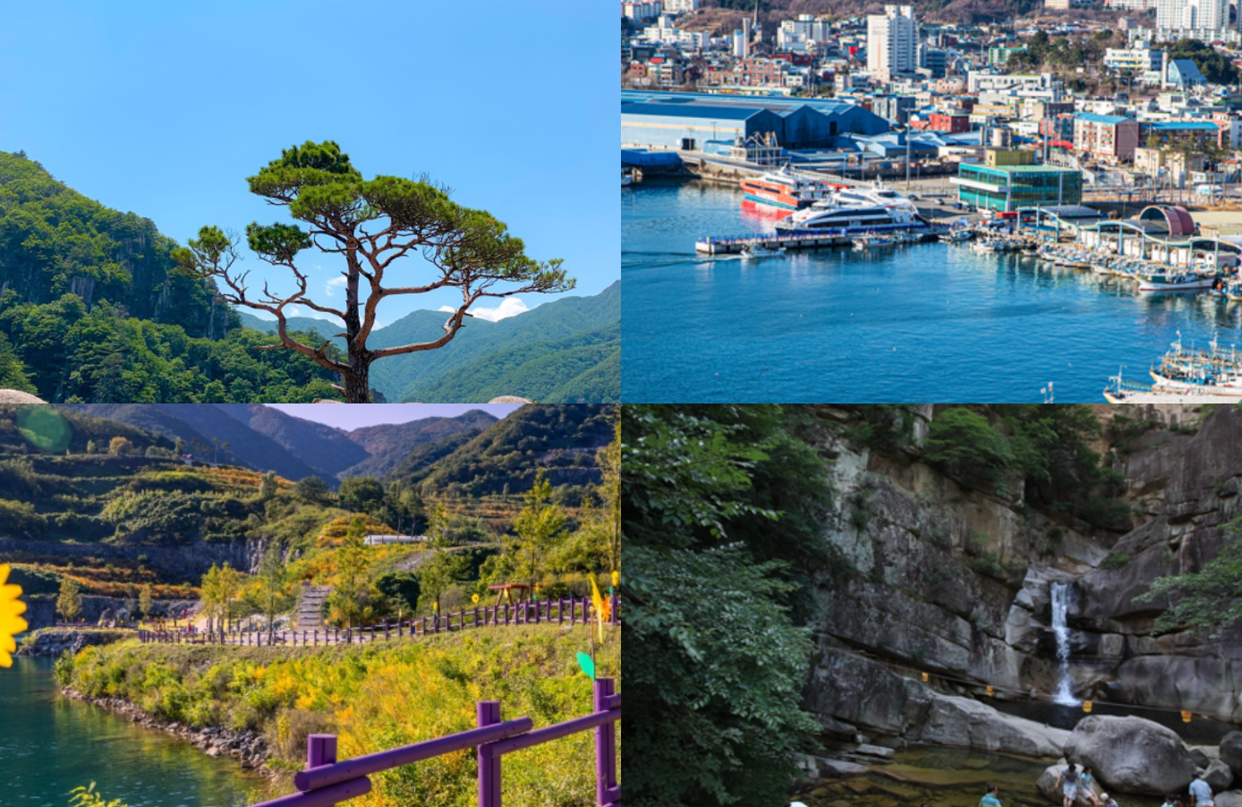 동해 가볼만한곳 베스트10