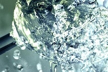 물 대신 넣어 마시면