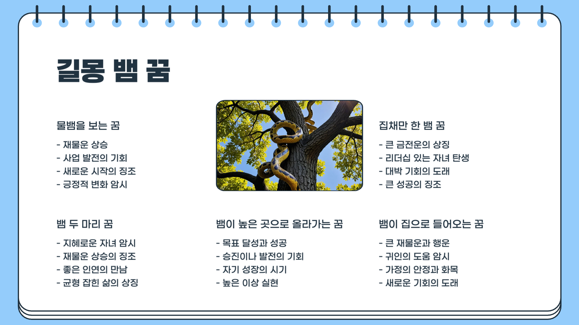 뱀 꿈해몽