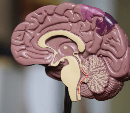 치매 초기증상 8가지 - 인지 기능 문제
