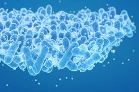 40대 여성 영양제 추천,건강을 지키기 위한 필수 리스트!