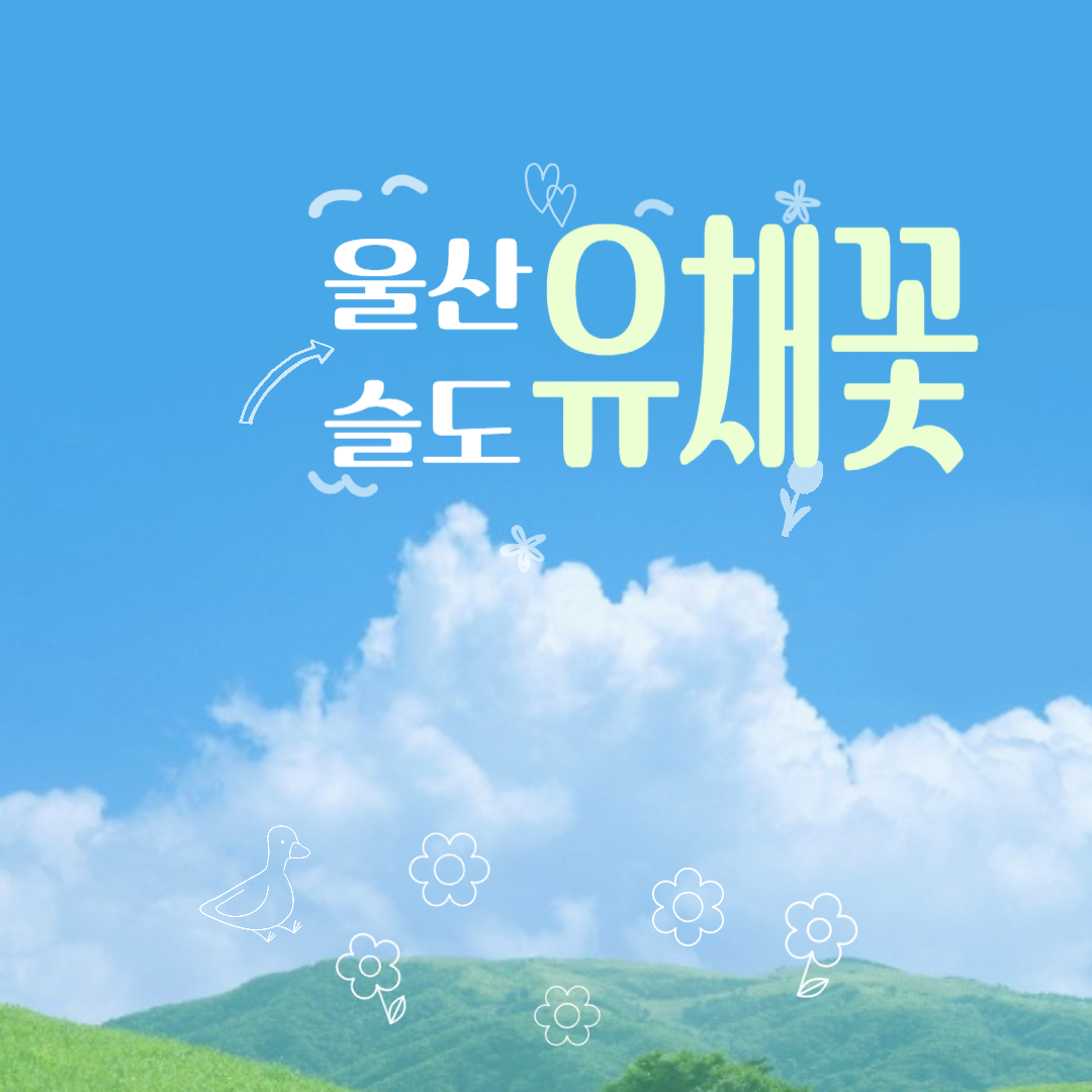 울산 슬도 유채꽃 맛집 방문팁 주차정보 꿀팁 총정리