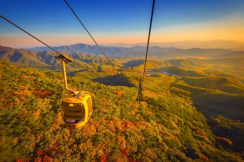 팔공산 케이블카 요금 및 예약