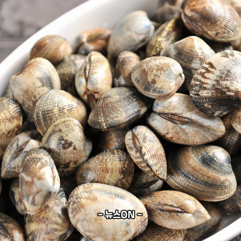 비타민b12가 많은 음식