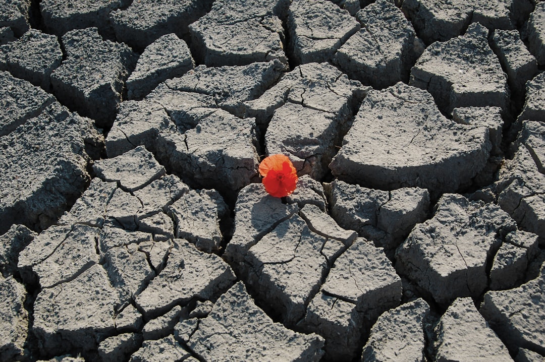 Resilience