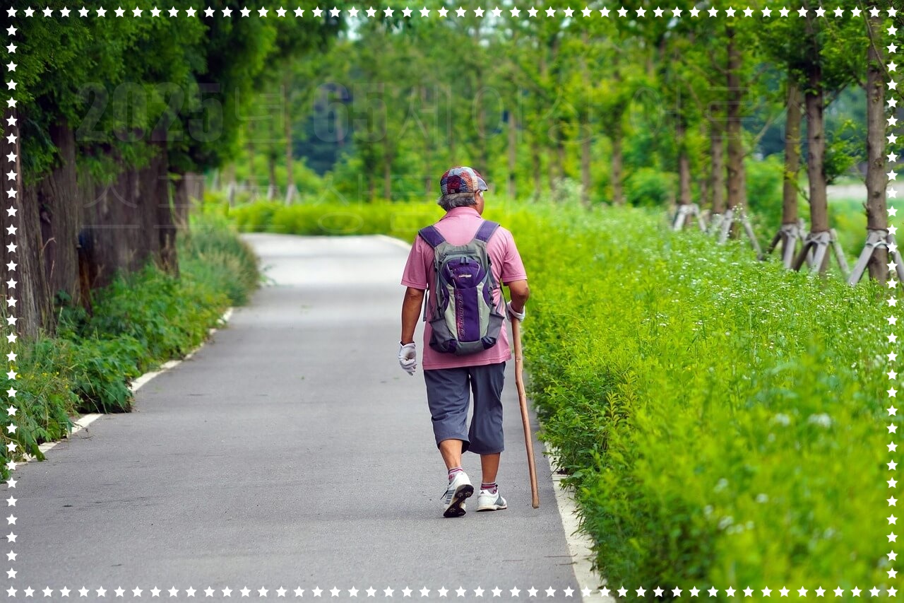 65세이상 어르신 스포츠 상품권 신청,자격/대상/조건/신청기간/지급금액/신청방법/사용처/사용방법/누리집