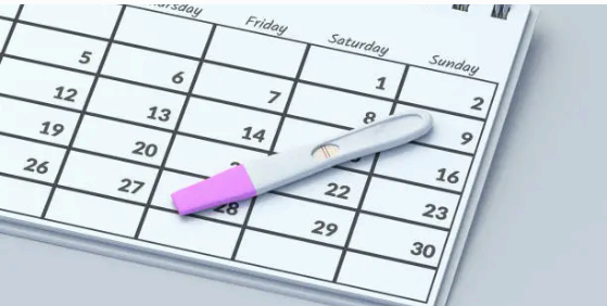 배란일 정확히 계산하는 방법 - 자연 임신 확률 높이기