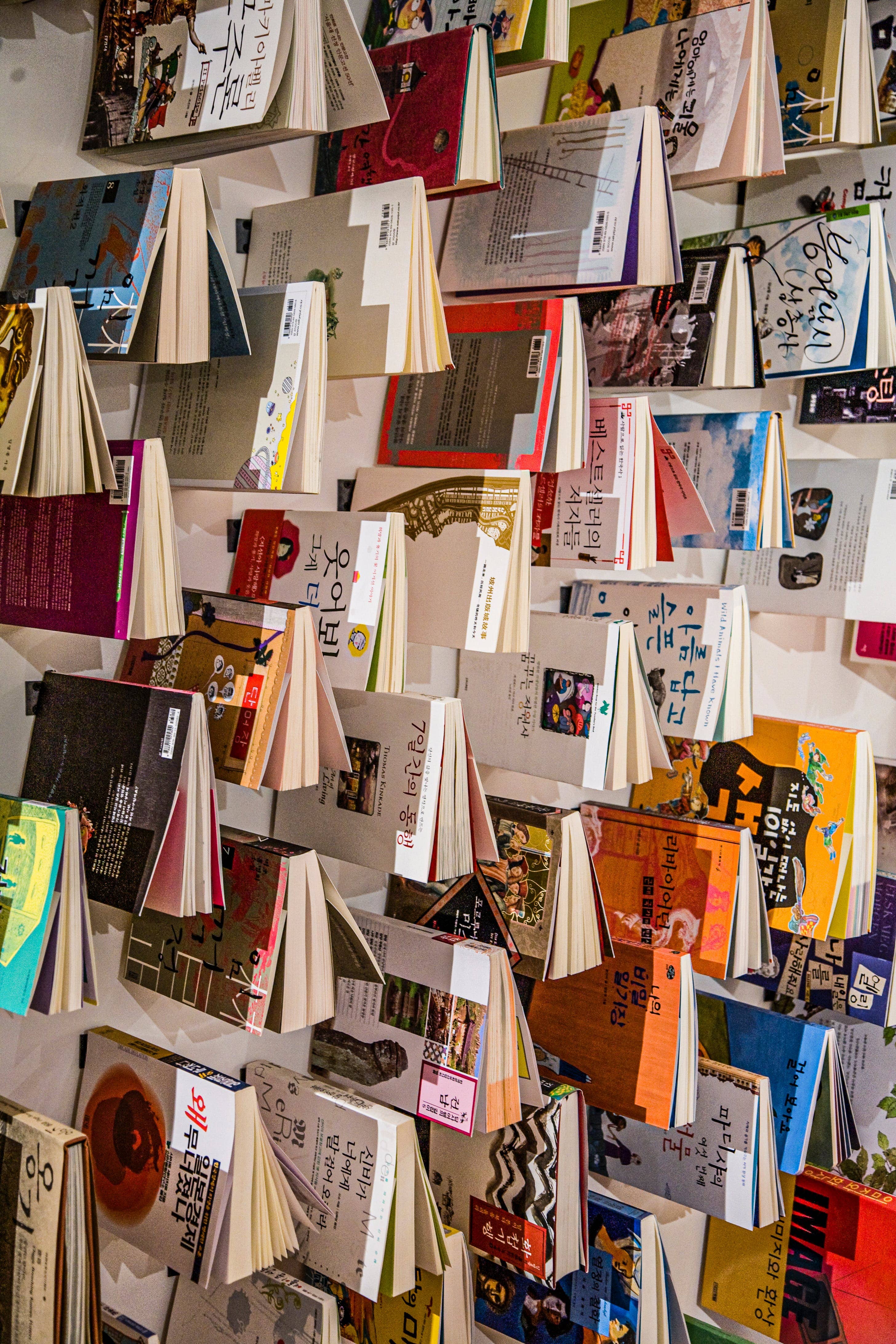 모국어교육의필요성