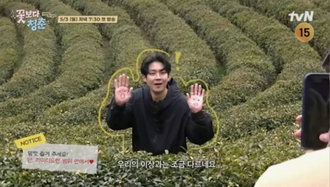 꽃보다 청춘 리미티드 에디션 정보 출연진 몇부작 시청률 최우식 속옷 논란까지 완벽 정리