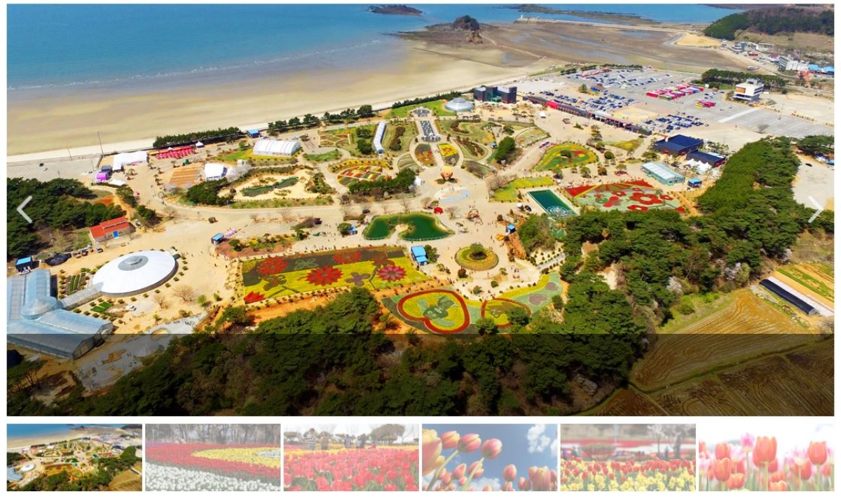 태안-세계-튤립-꽃-박람회-사진