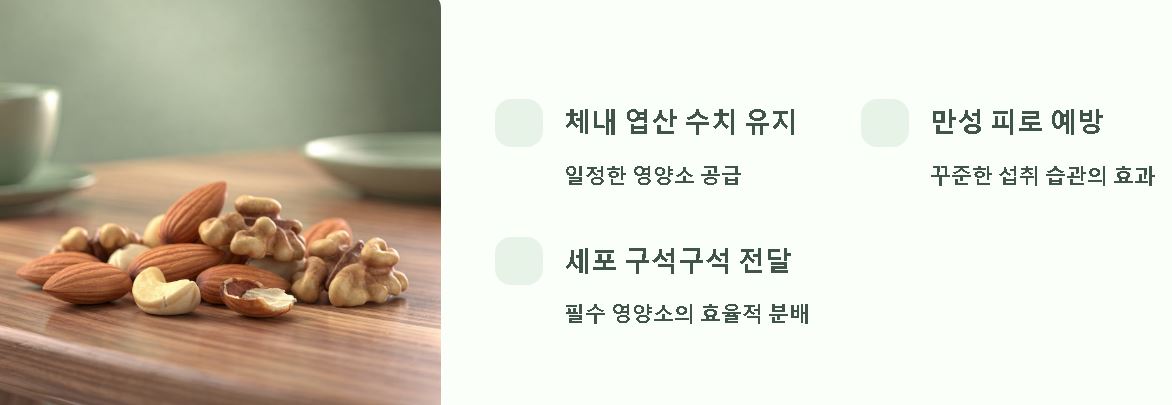 엽산이 많은 음식 과일
