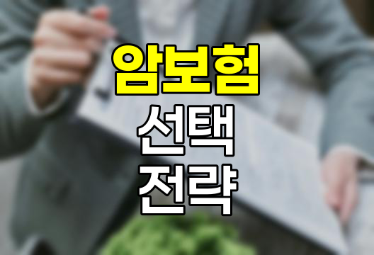 암보험 갱신형 비갱신형 선택의 핵심 요소