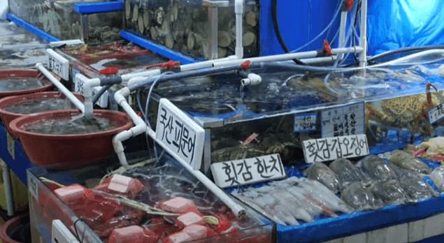 수산물 시장 전경