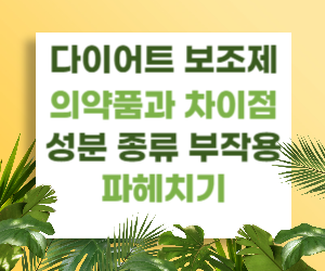 다이어트 보조제 - 의약품과의 차이점, 성분, 종류, 부작용 파헤치기