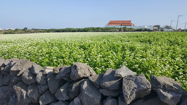 제주 가볼만한곳 베스트10 여행 놀거리 맛집_5