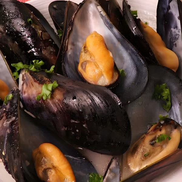 유럽식 홍합찜 물르(Mussels) 맛있게 만드는 법