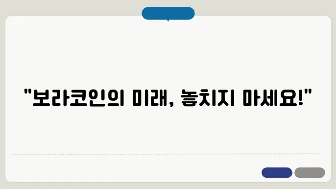 보라(BORA)코인 호재와 소개 및 전망