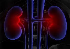 콩팥이 안 좋으면 나타나는 증상