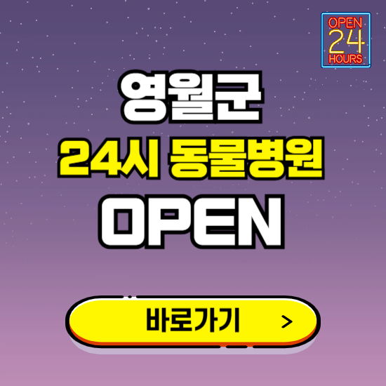 영월군 24시 동물병원 진료하는 곳 ❘ 설날 휴일 야간 심야 문여는곳 찾기 ❘ 응급진료