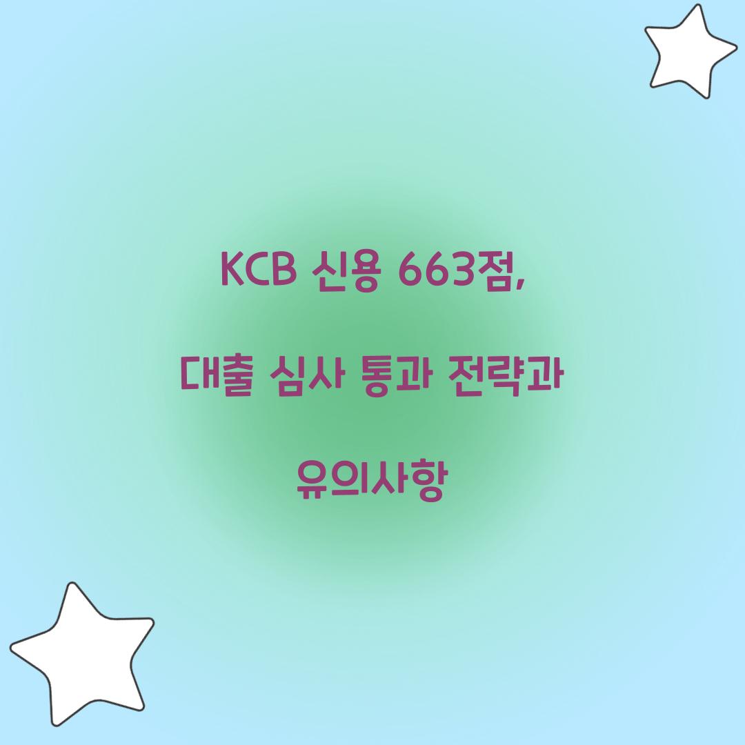 KCB 신용 663점