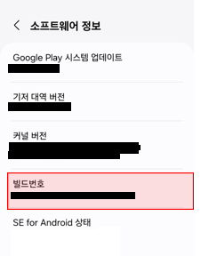 빌드번호