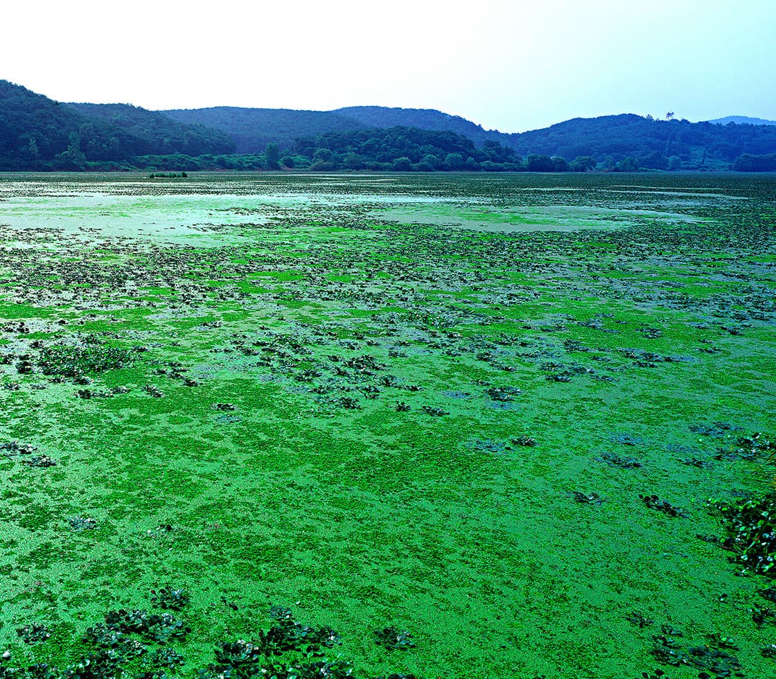 경남 창녕군 우포늪, 우포생태관, 우포출렁다리