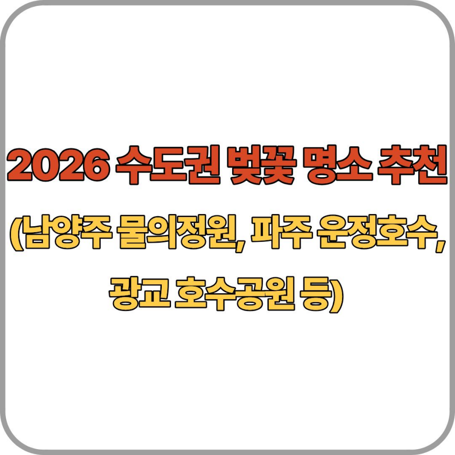 수도권 벚꽃 명소 추천 (남양주 물의정원, 파주 운정호수, 광교 호수공원 등)