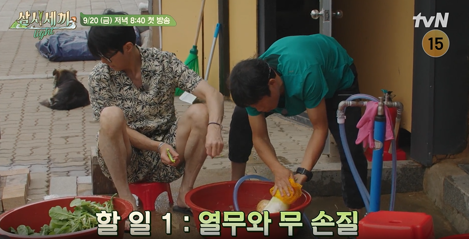 삼시세끼 어촌편 시즌6 임영웅