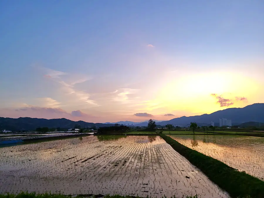 충북 제천 비행장, 삼한의 초록길, 에코브릿지 전망대, 의림지, 예빛마을, 맛집 식당 가볼만한 곳 추천
