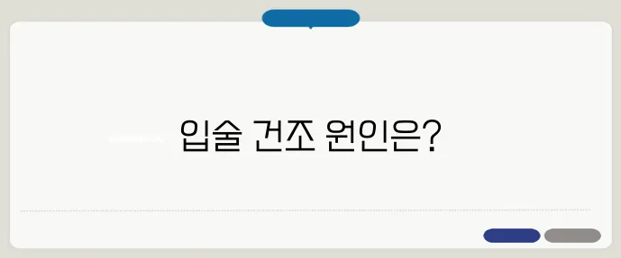 입술이 마르는 이유와 해결 방법