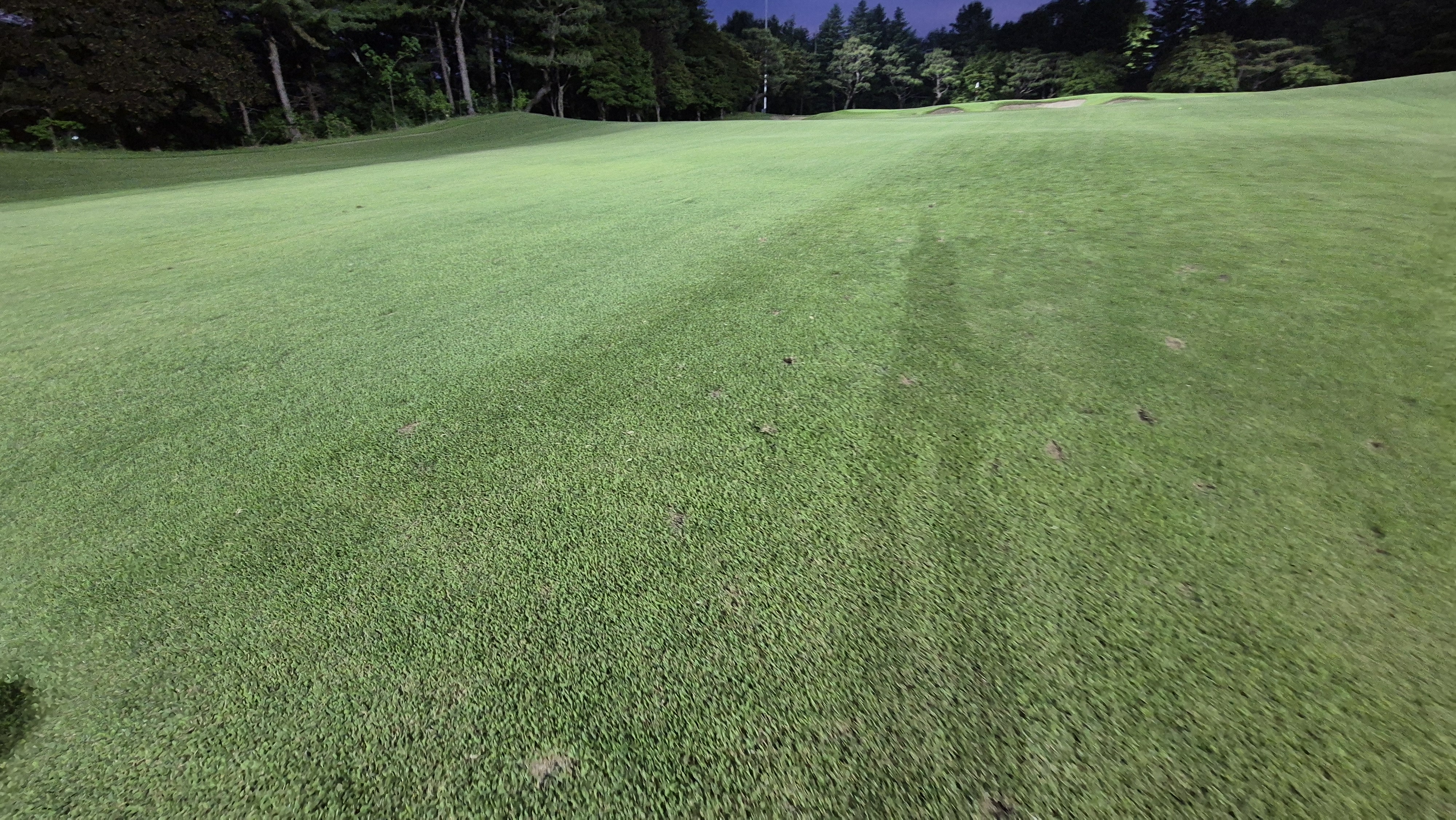 이포cc 라운드 후기