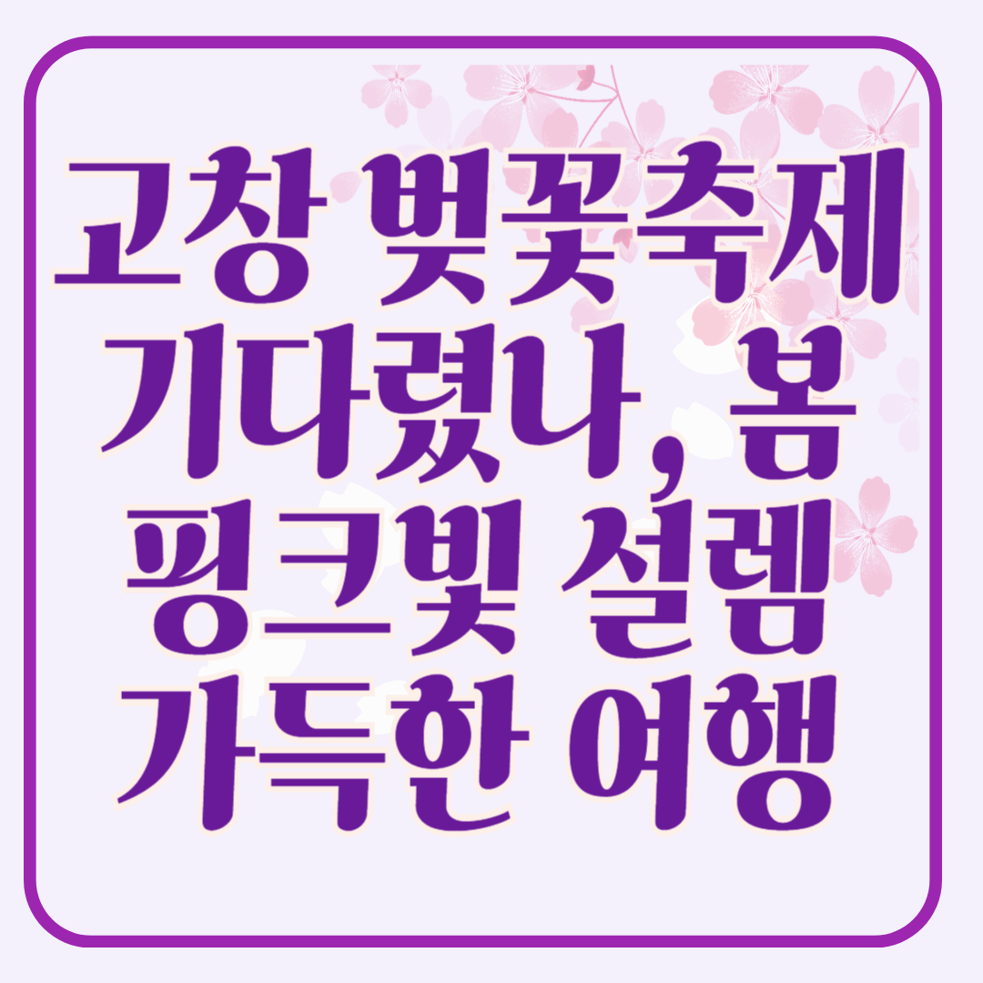 고창 벚꽃 축제! 기다렸나, 봄~ 핑크빛 설렘 가득한 여행