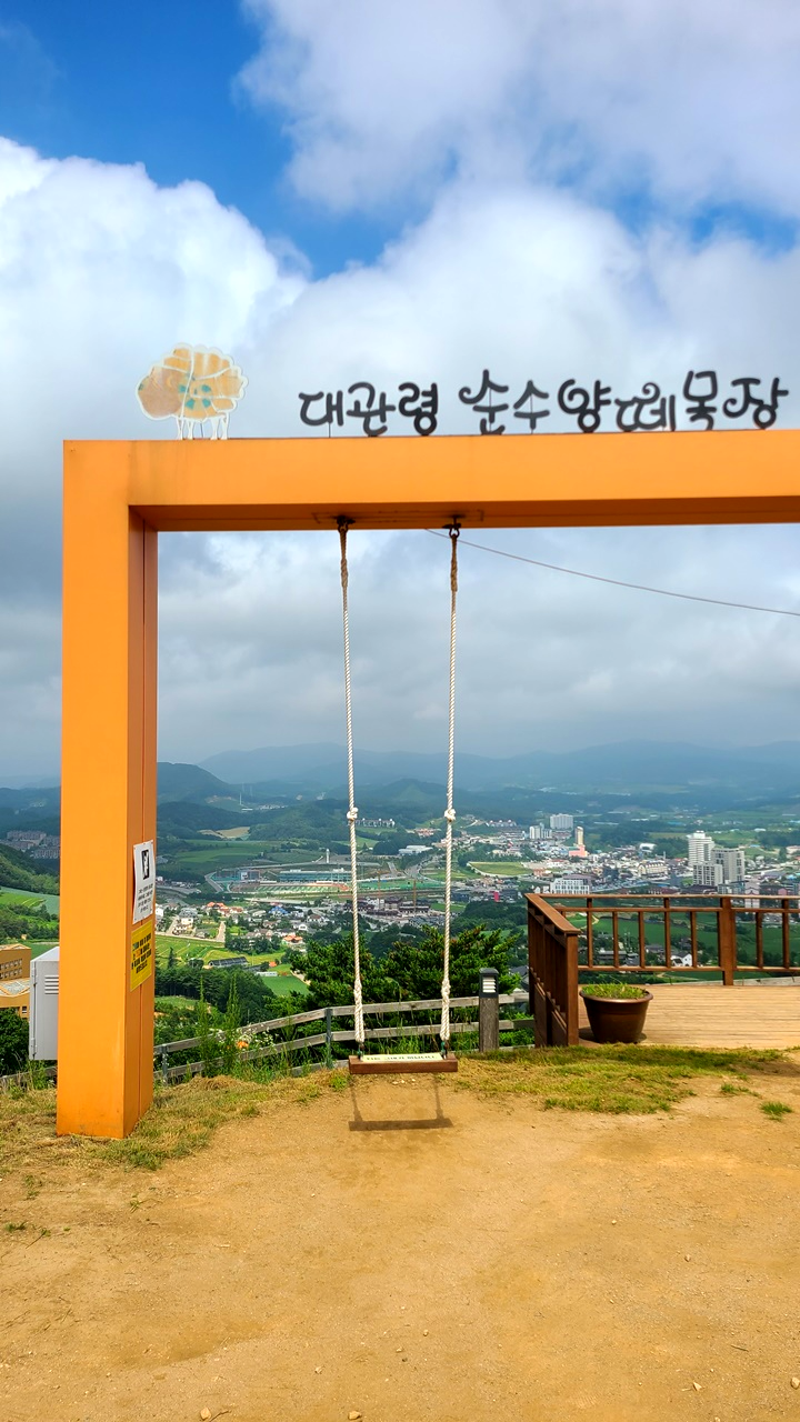 대관령-순수양떼목장-하늘전망대