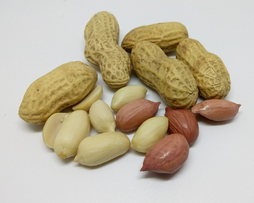 땅콩버터 효능과 땅콩버터 만들기