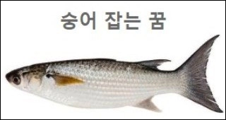 숭어 잡는 꿈