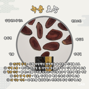 녹용 추천