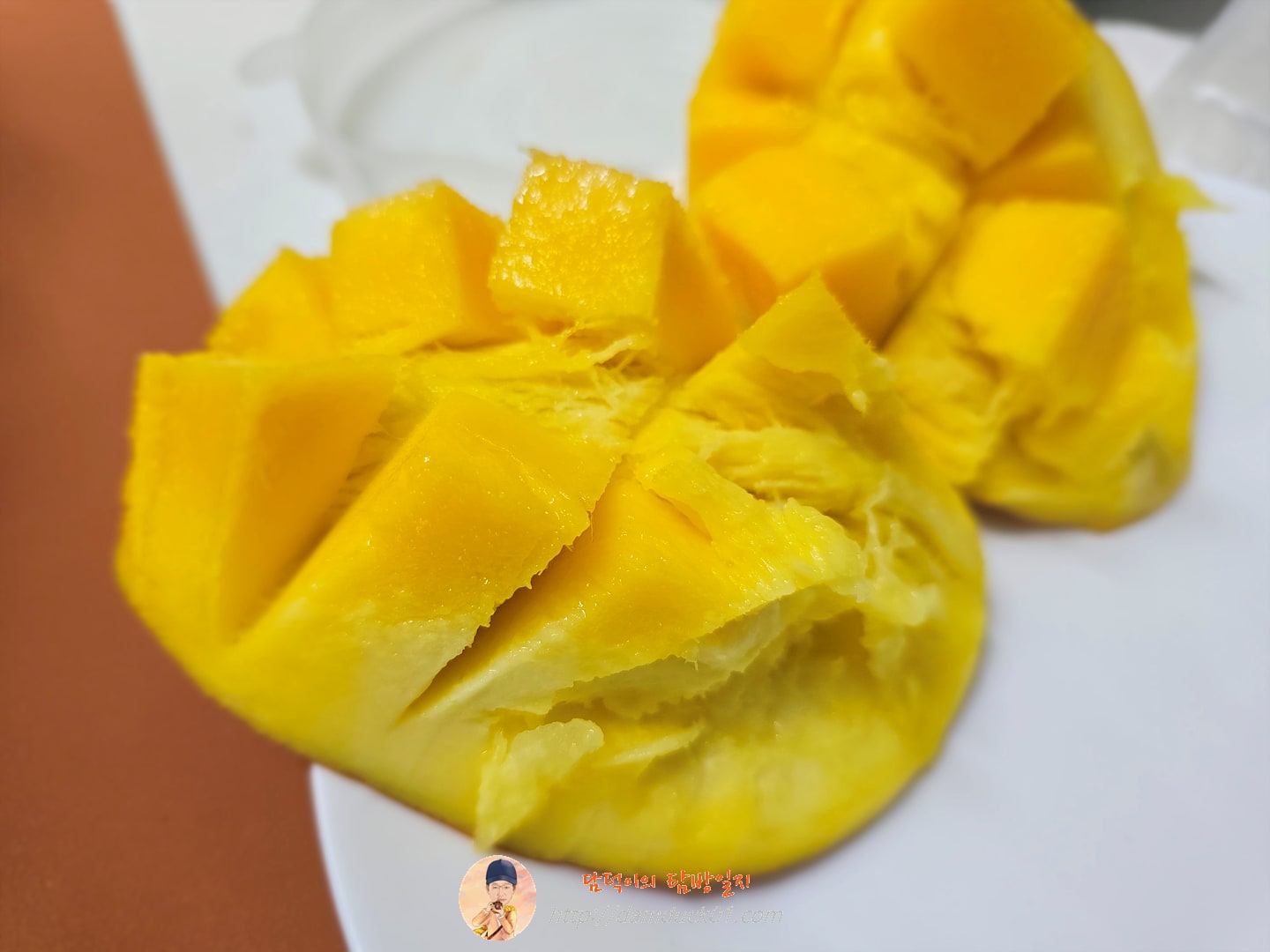 [수플린] 새콤달콤 프리미엄 고당도 애플망고 총 2.1KG 이상 (4~6입/로얄과)